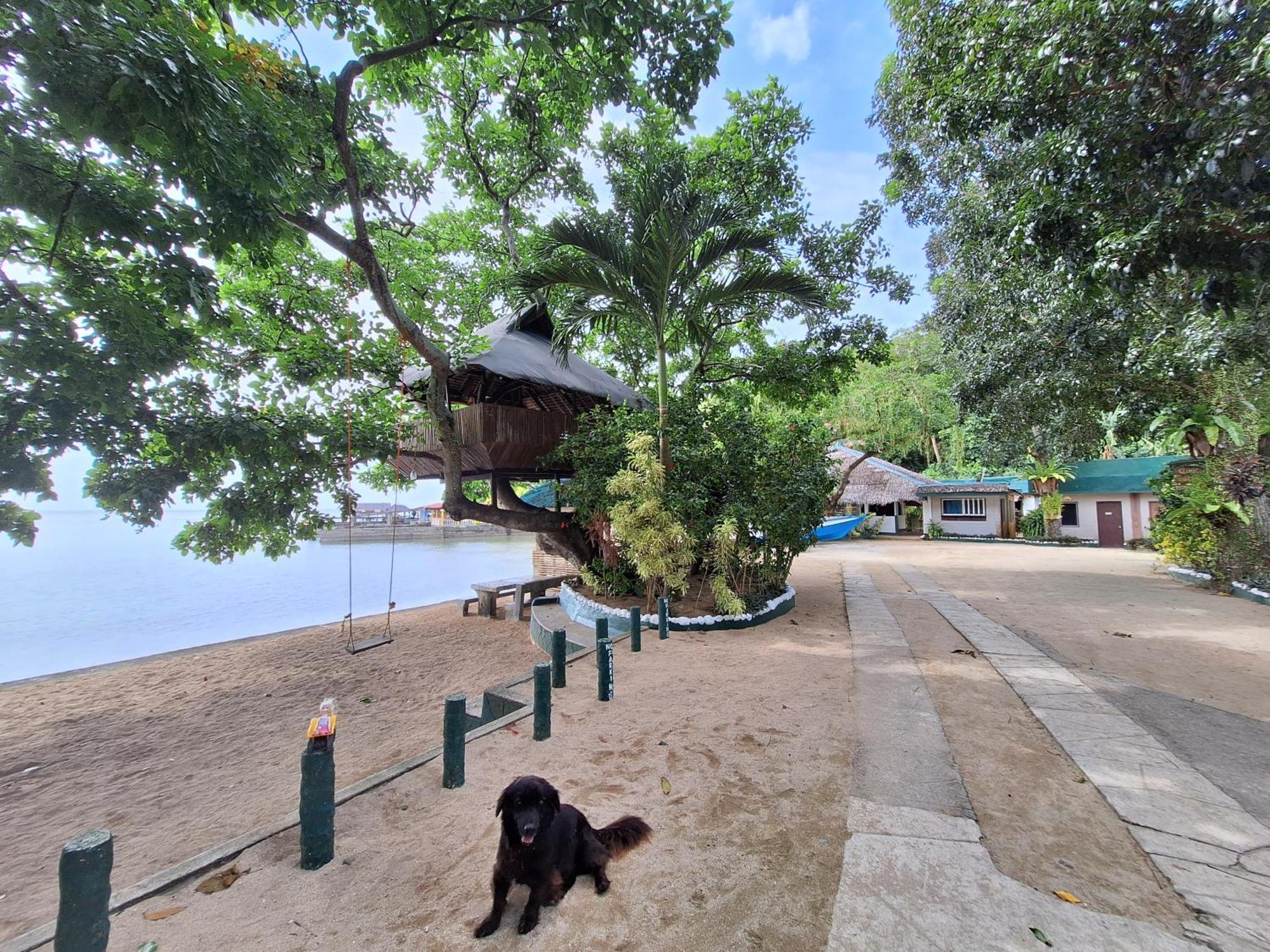 Agta Beach Resort Biliran 外观 照片